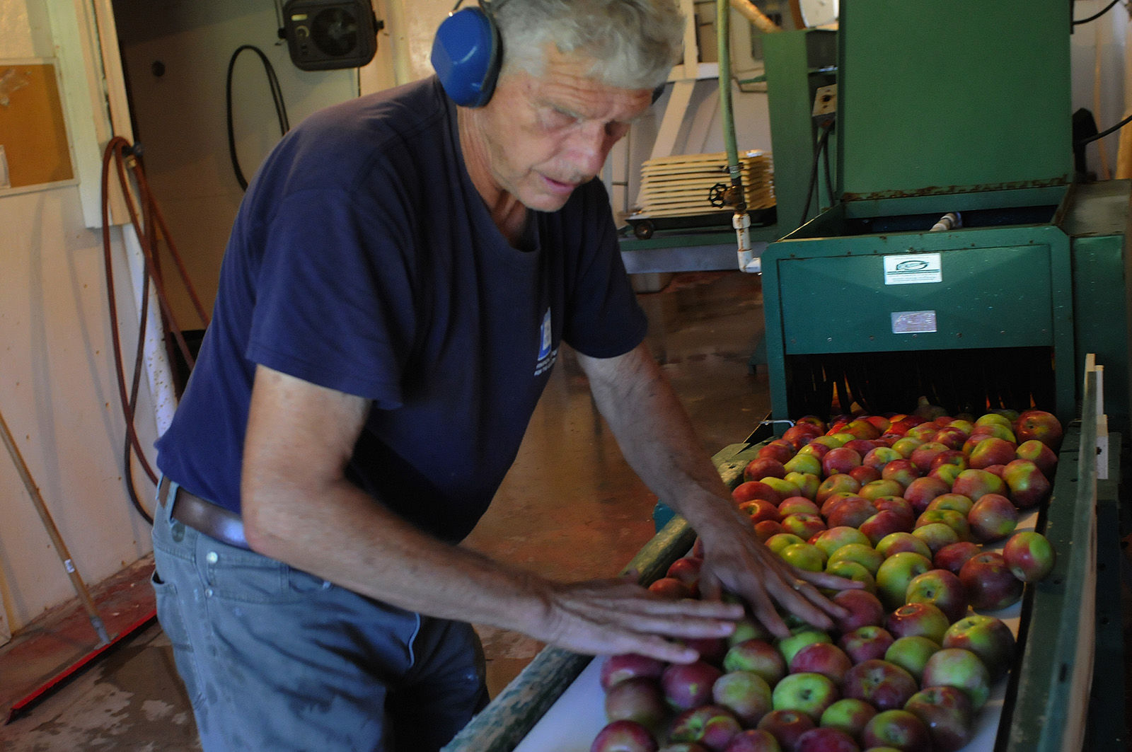 Harvest season